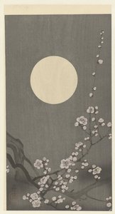 Blooming Plum Blossom in Full Moon