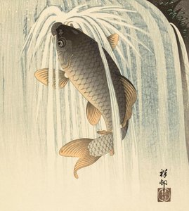 Carp Under a Waterfall by Ohara Koson