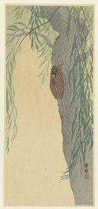 Cicada on a Tree