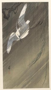Egret in a storm