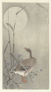 Goose by Full Moon by Ohara Koson