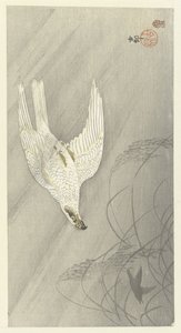 Hunting Hawk by Ohara Koson