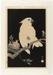 Cockatoo with Pomegranate by Ohara Koson