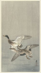 Pair of Ducks by Ohara Koson