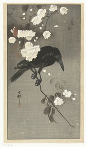 Crow with Cherry Blossom (Hana sakura no tori) by Ohara Koson
