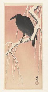 Crow on Snowy Branch