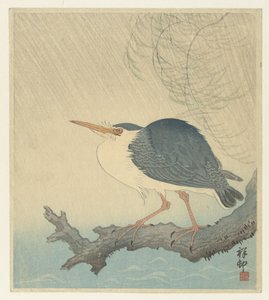 Heron on Tree Stump