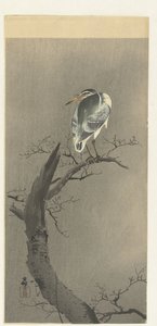 Night Heron on Branch by Ohara Koson