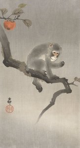 Monkey in a Fruit Tree