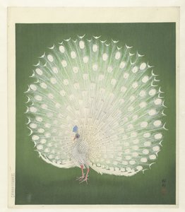 Peacock by Ohara Koson
