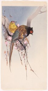 Pheasants and Hanging-Cherry by Ohara Koson