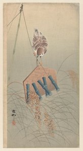 Sparrow on a Scarecrow