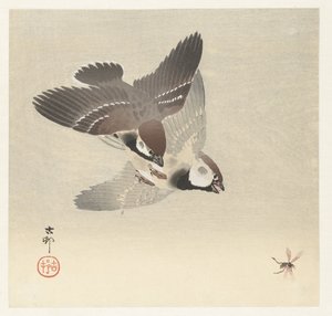 Tree Sparrows and Insect by Ohara Koson