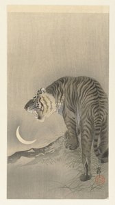 Roaring Tiger