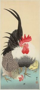 Rooster, hen and chick with ant