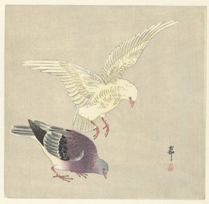 Two Doves by Ohara Koson