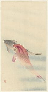 Two Carps