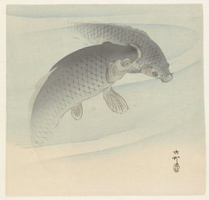 Two Carps