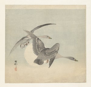 Two White-fronted Geese in Flight by Ohara Koson
