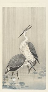 Two herons in the rain by Ohara Koson
