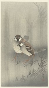 Two Sparrows in the Rain