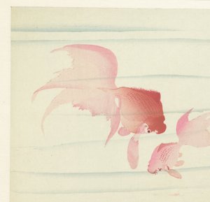 Two Goldfish