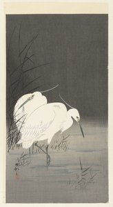 Two Egrets in the Reed