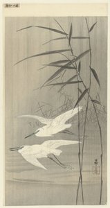 Two Egrets in Flight