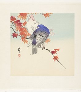 Two Pigeons on a Branch with Autumn Leaves by Ohara Koson