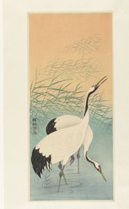Two cranes