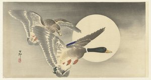 Two Ducks with Full Moon by Ohara Koson