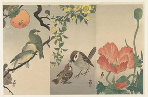 Birds and Plants by Ohara Koson