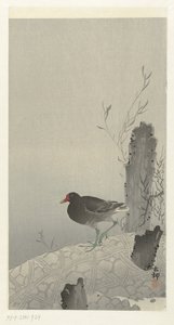 Moorhen by Ohara Koson