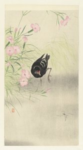 Moorhen by Flowering Plant by Ohara Koson