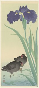 Moorhens and Iris by Ohara Koson