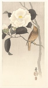 Songbird and Blooming Camellia by Ohara Koson