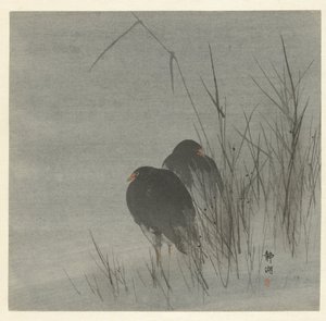 Two Coots Among Reeds by Okuhara Seiko
