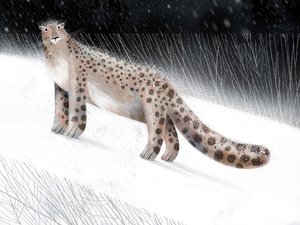 Snow Leopard Winter Night by Olga Skomorokhova