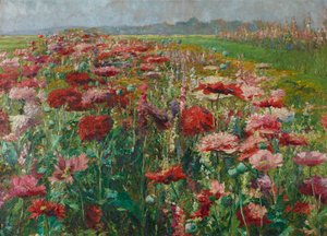 Blooming Poppies by Olga Wisinger-Florian