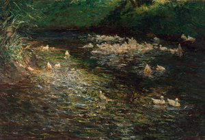Duck Pond