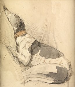 Sleeping Greyhound by Olive Branson