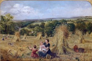 The Harvest Field