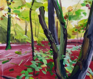 Forest 16 by Olivier Morel