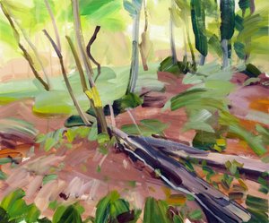 Forest 24 by Olivier Morel