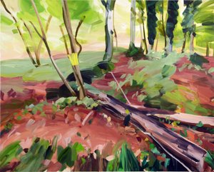 Forest 25, 2017 by Olivier Morel