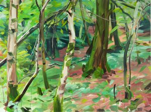Forest 6 by Olivier Morel