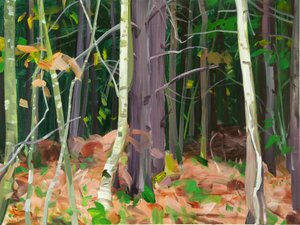 Forest 7
