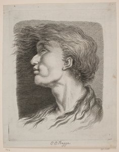Portrait of a Man with Flowing Hair