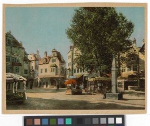 View of the 