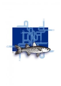 Blue Geometric Fish